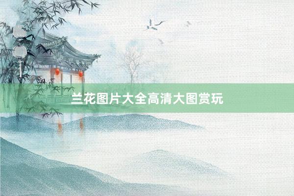 兰花图片大全高清大图赏玩