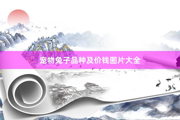 宠物兔子品种及价钱图片大全
